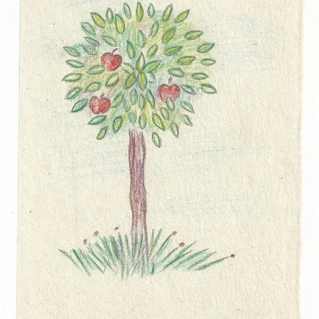 ΤΑ ΤΡΙΑ ΧΡΥΣΑ ΜΗΛΑ